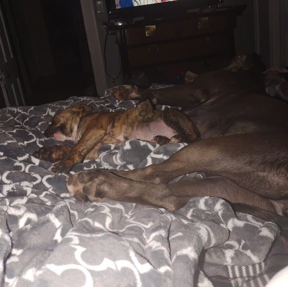 Meet your Posher, Chris - Picture 1 of 1